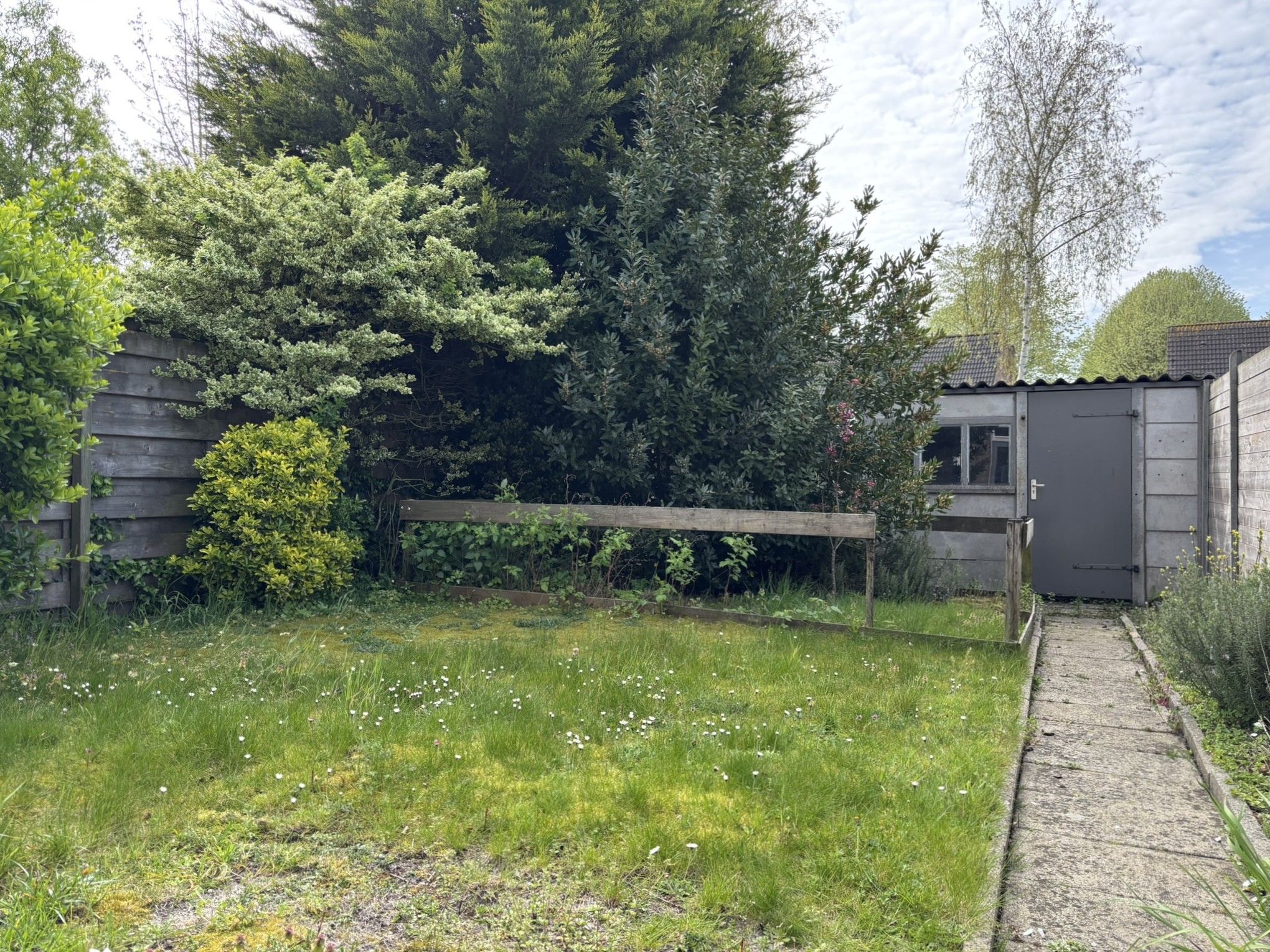 Photo 24 of Bogaardstraat 40