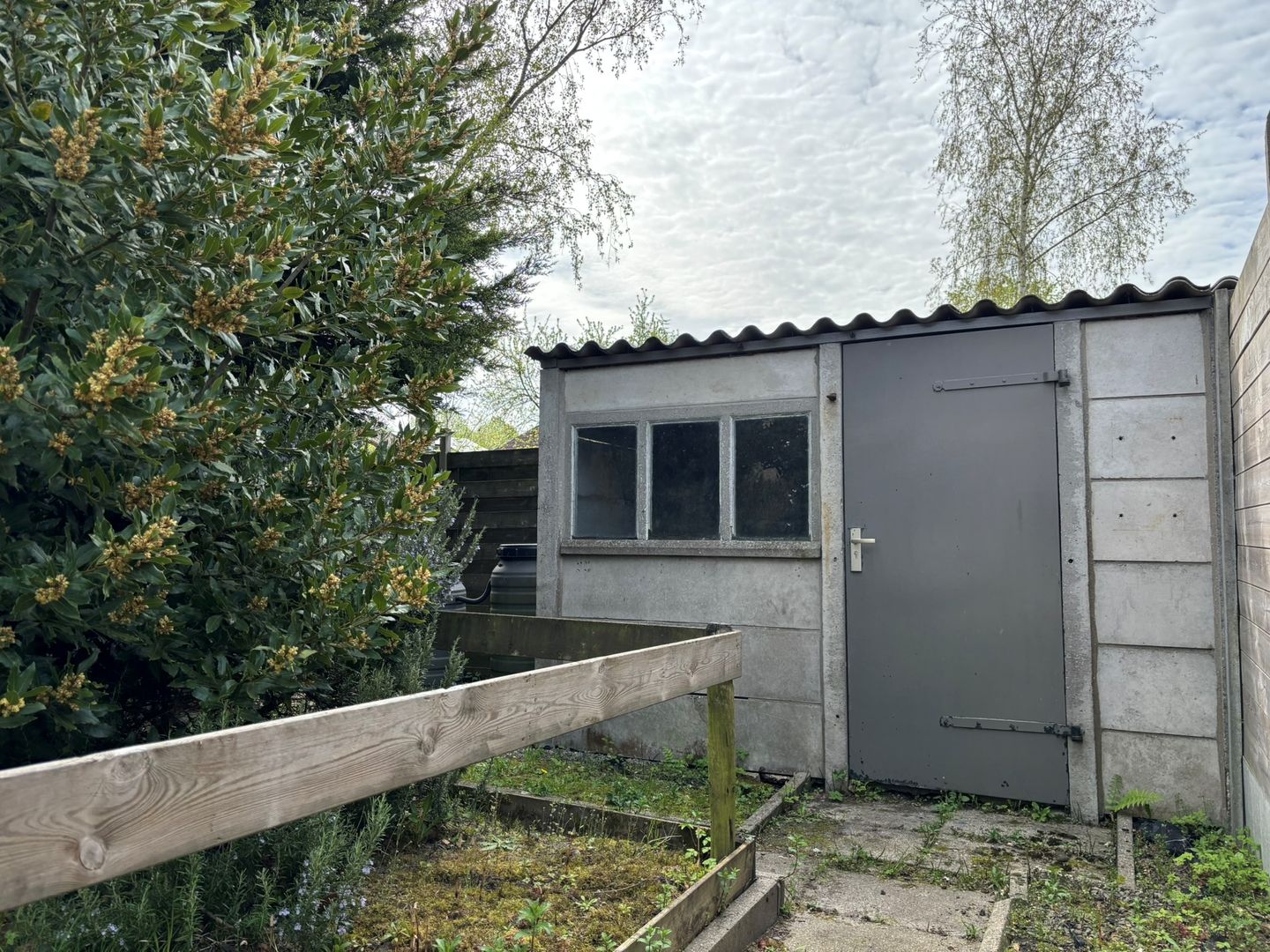 Photo 25 of Bogaardstraat 40