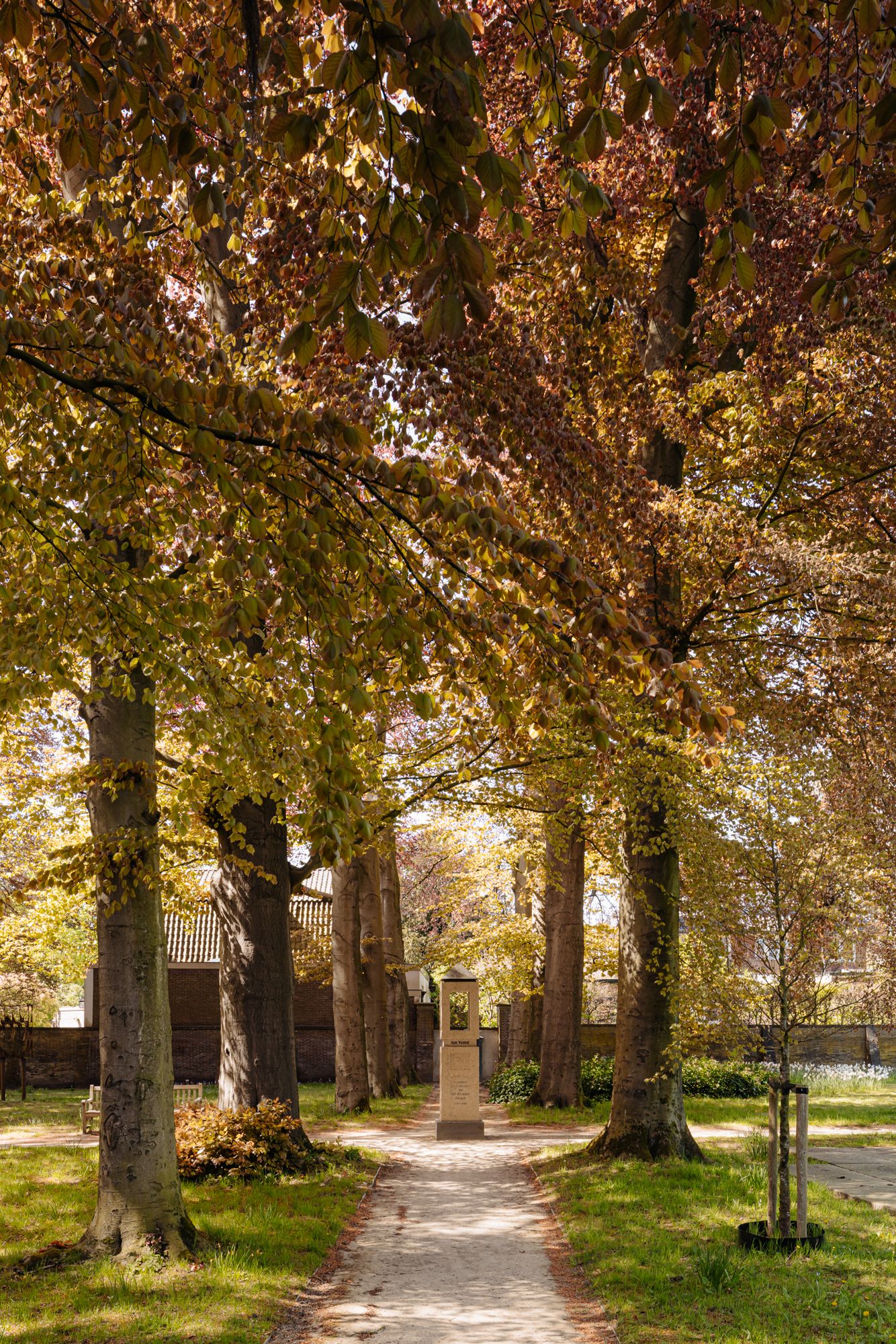 Photo 24 of Albertus Perksteeg 1-B