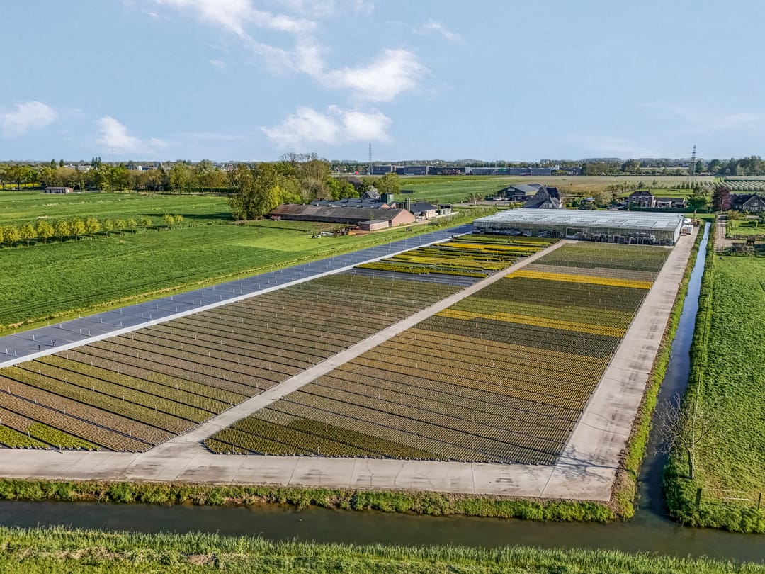 Foto 26 van Keetjesbongerd 62