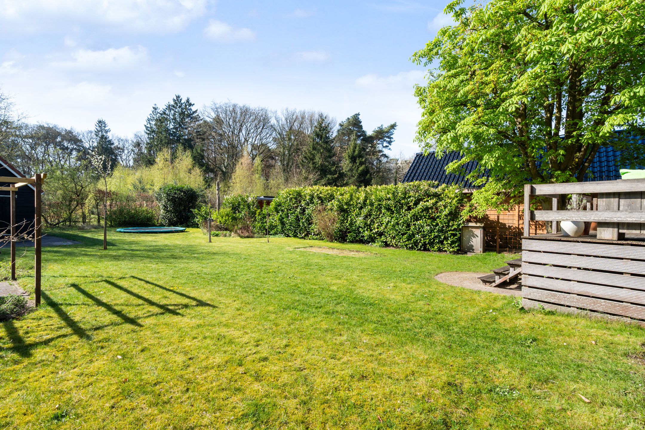 Foto 48 van Asserstraat 15