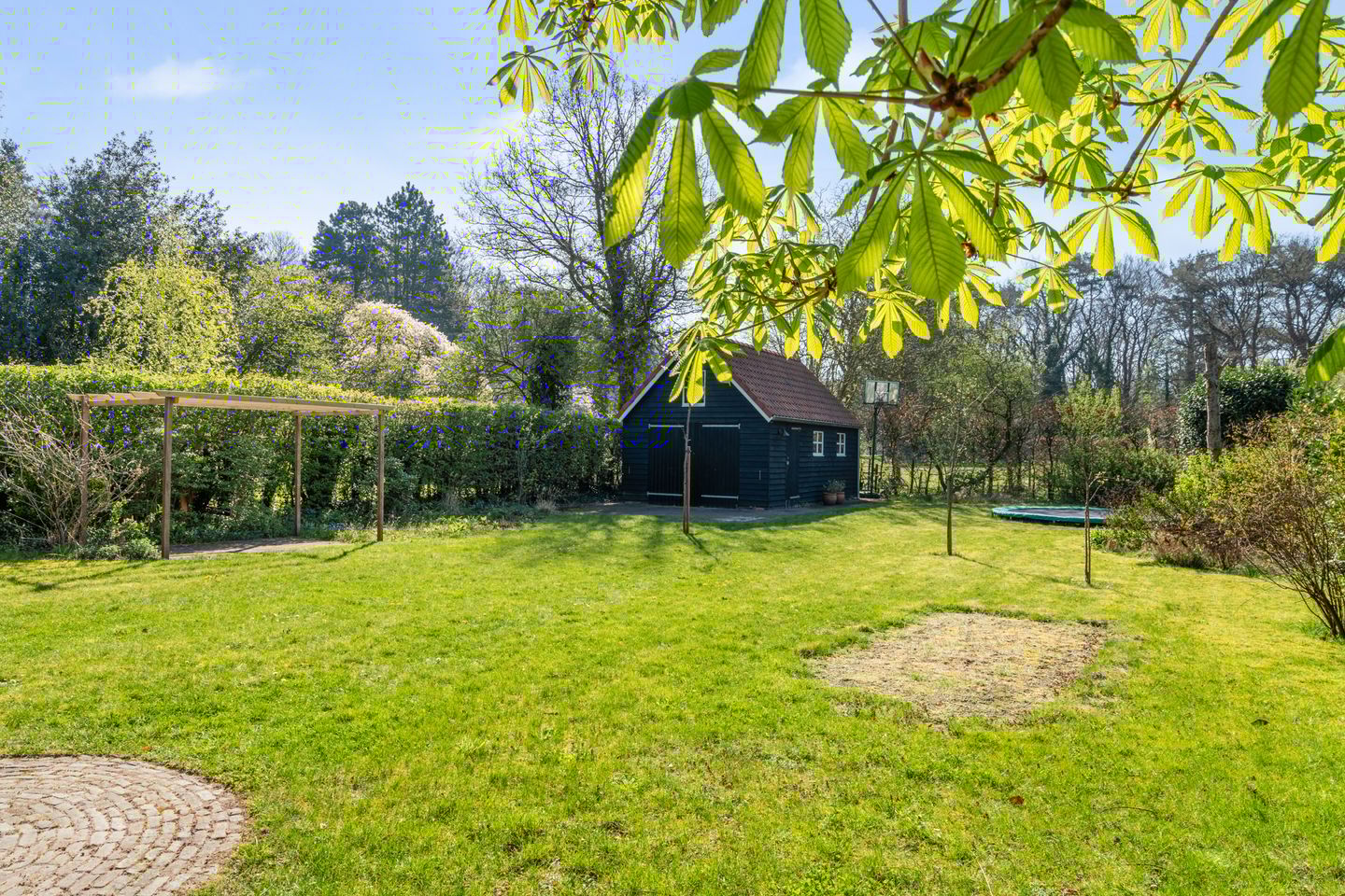 Foto 49 van Asserstraat 15