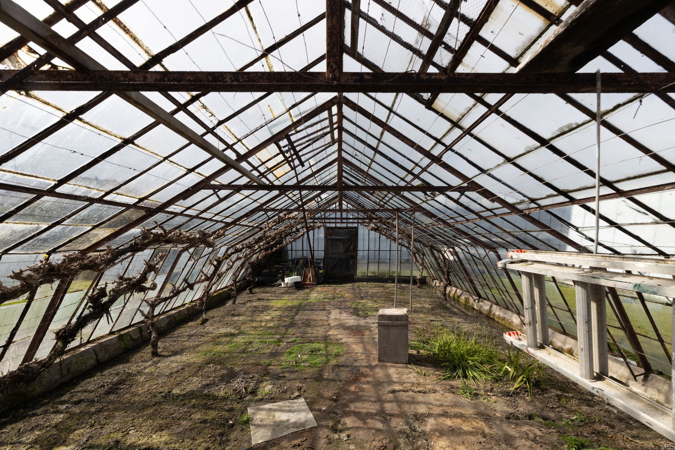 Foto 45 van Vredebestlaan 42