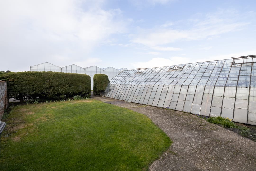 Foto 43 van Vredebestlaan 42