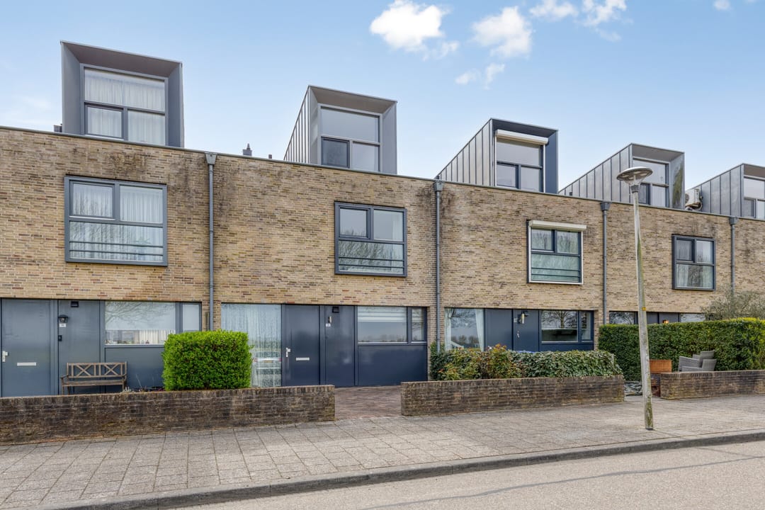 Foto 1 van Vlaamse Gaai 13