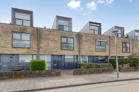 Vlaamse Gaai thumbnail