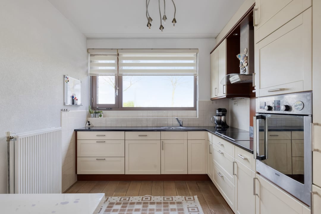 Foto 2 van Vlaamse Gaai 13