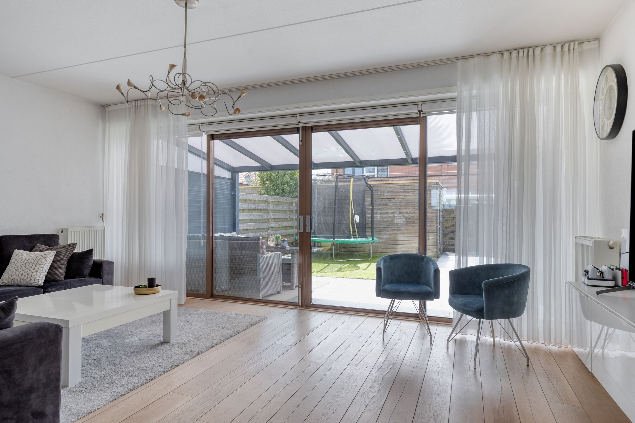 Foto 3 van Vlaamse Gaai 13