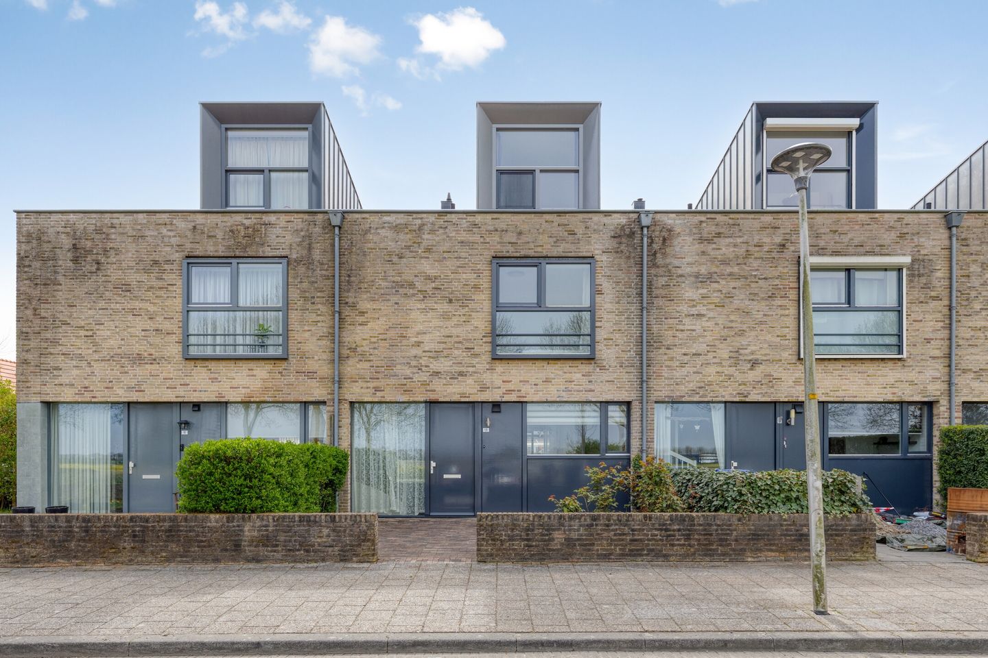 Foto 4 van Vlaamse Gaai 13