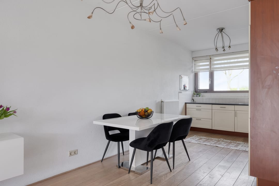 Foto 11 van Vlaamse Gaai 13