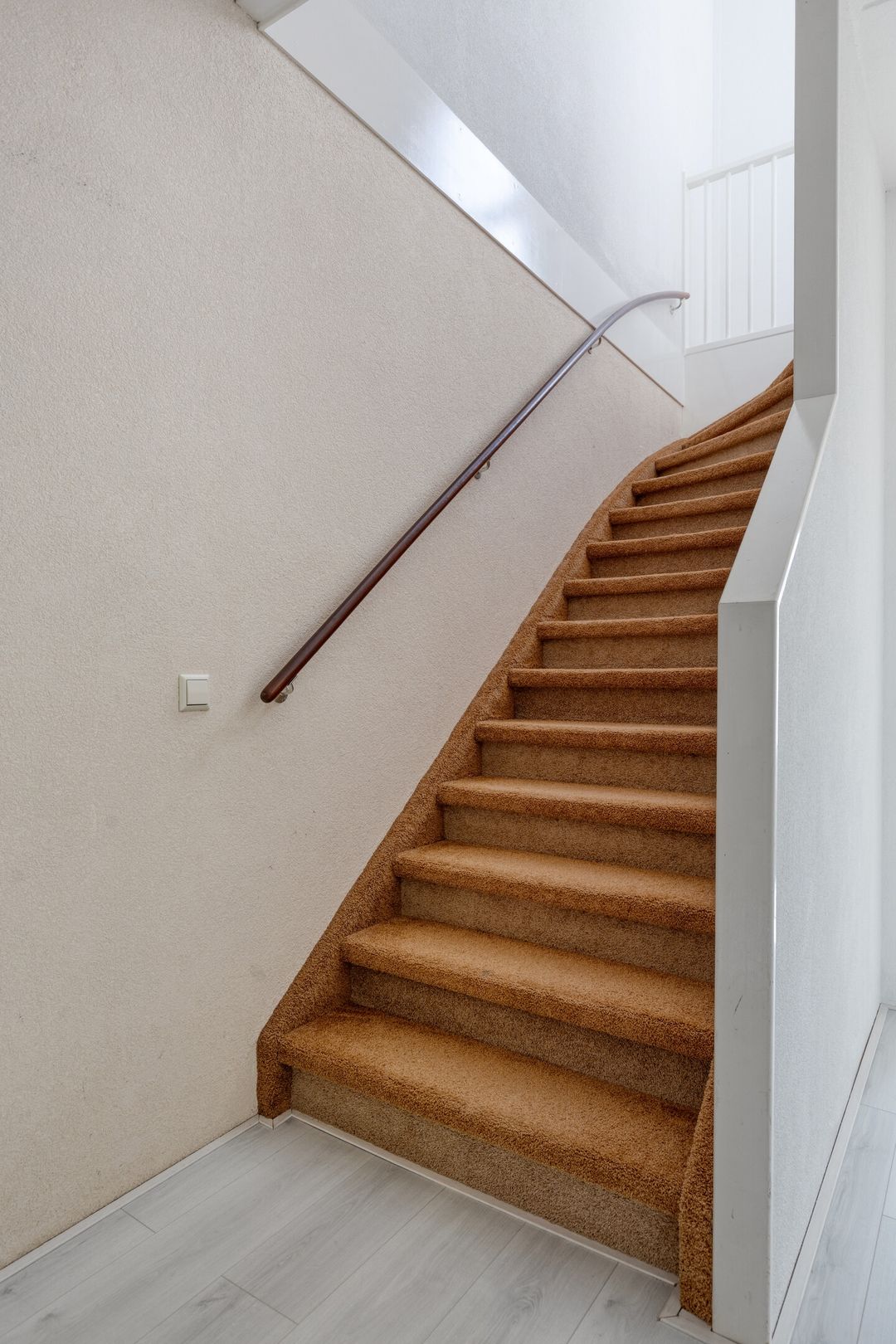 Foto 17 van Vlaamse Gaai 13