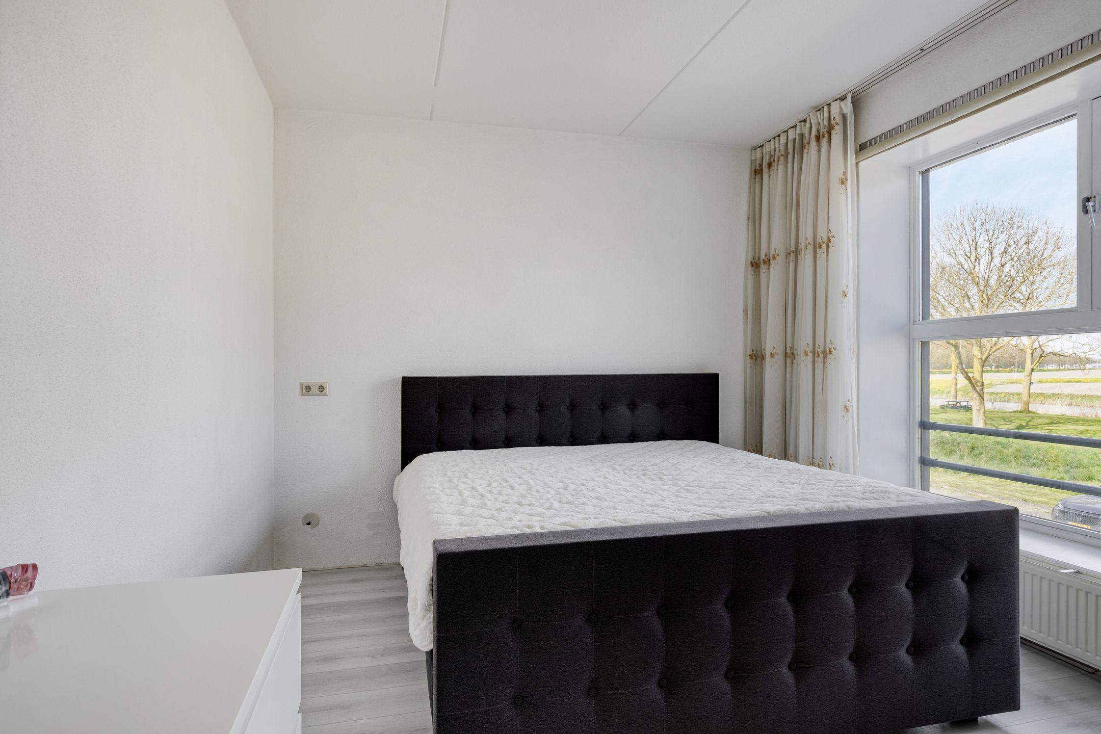 Foto 18 van Vlaamse Gaai 13