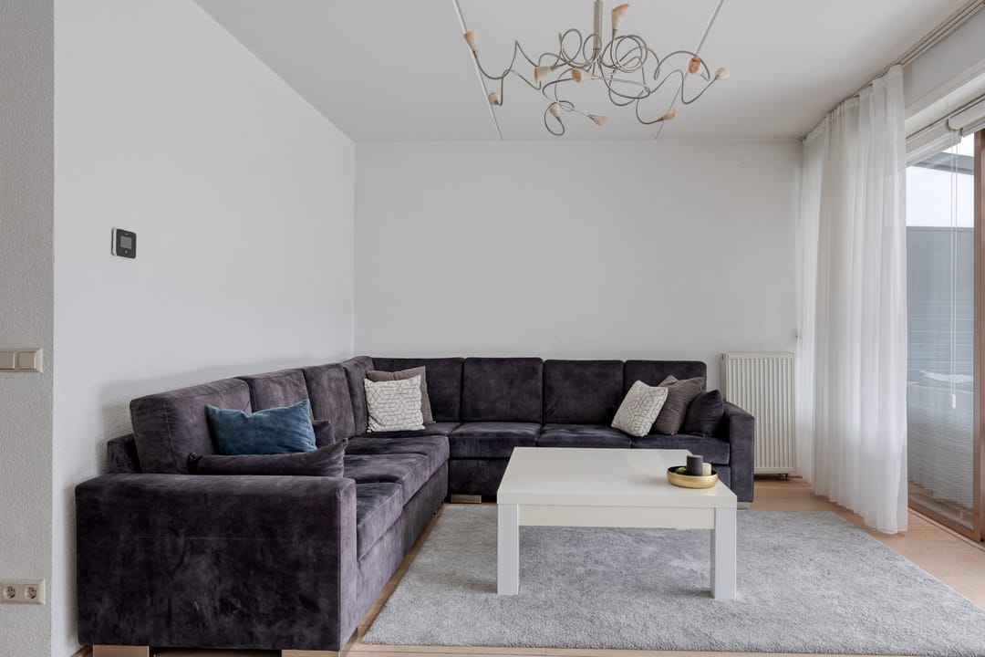 Foto 8 van Vlaamse Gaai 13