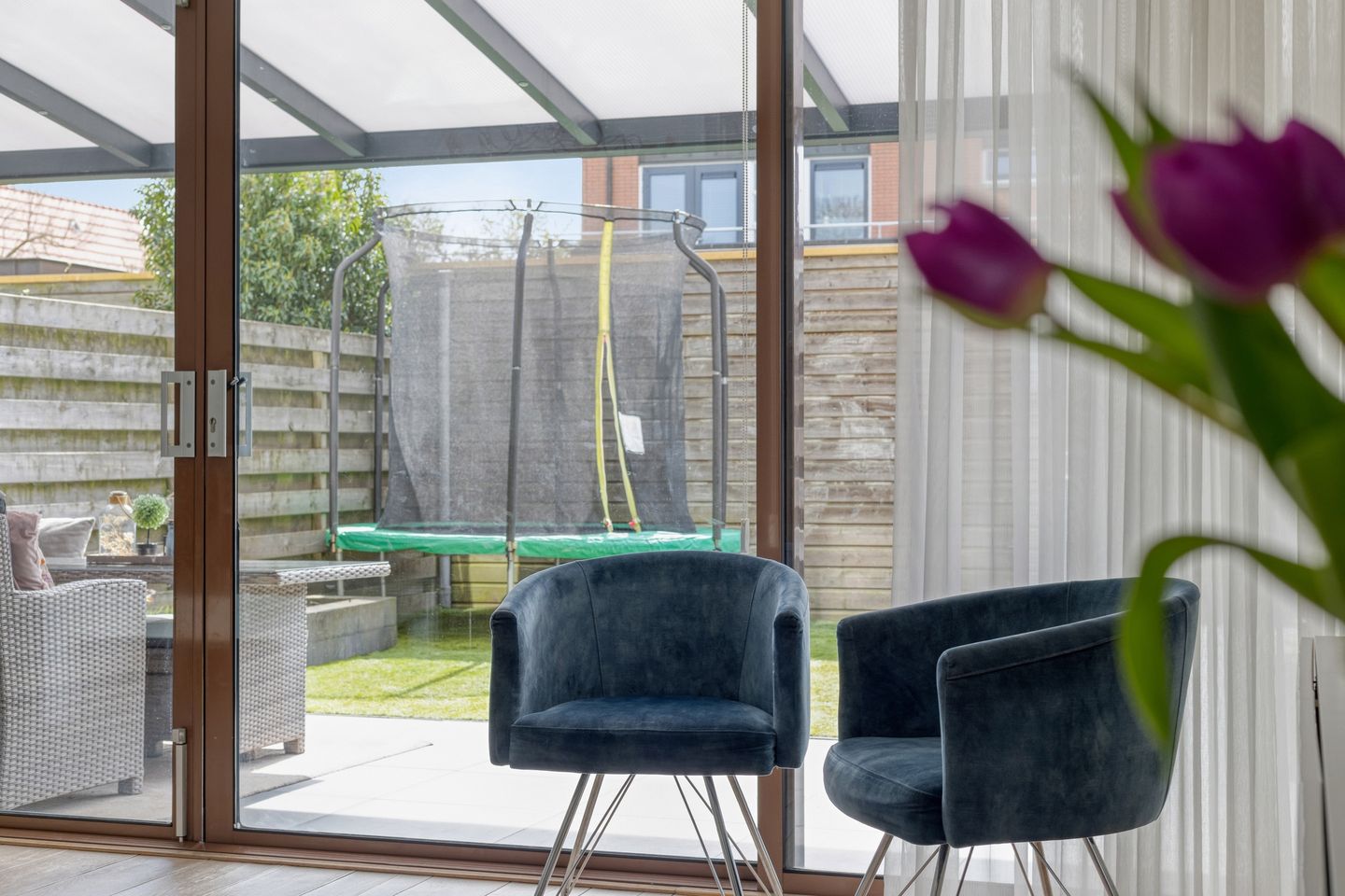 Foto 14 van Vlaamse Gaai 13