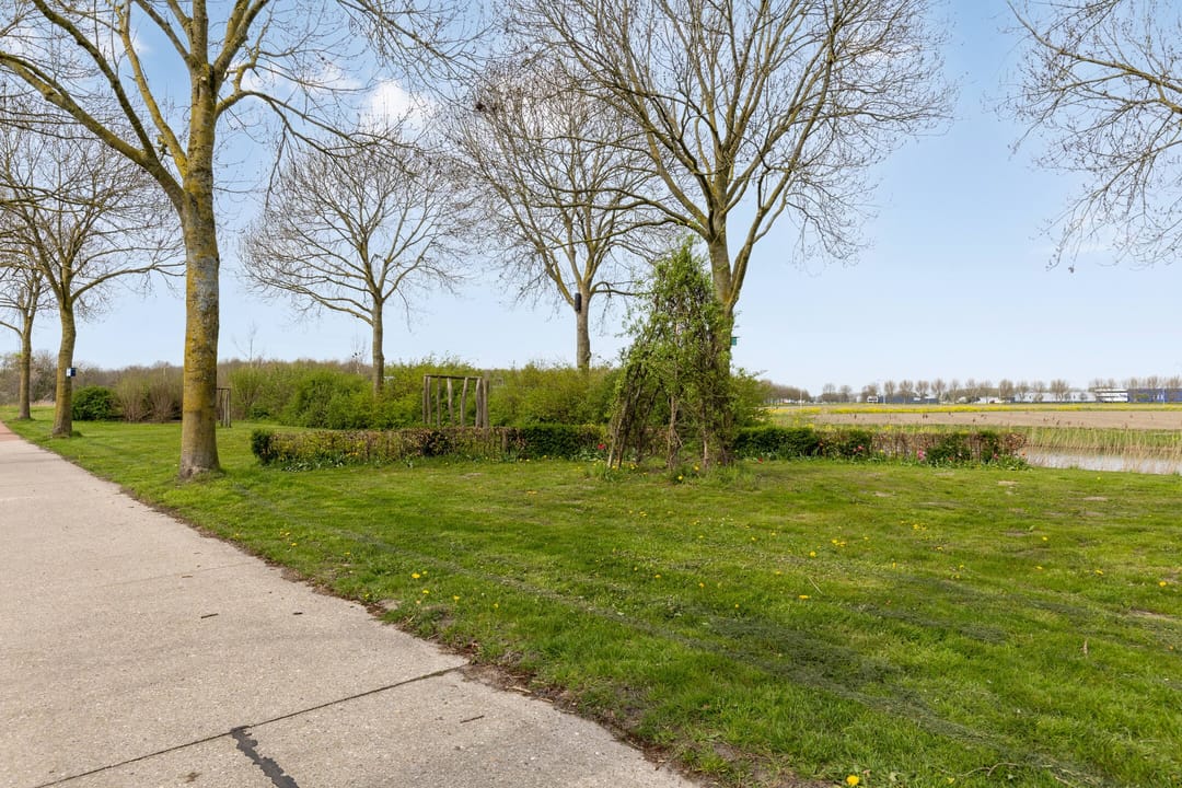 Foto 38 van Vlaamse Gaai 13