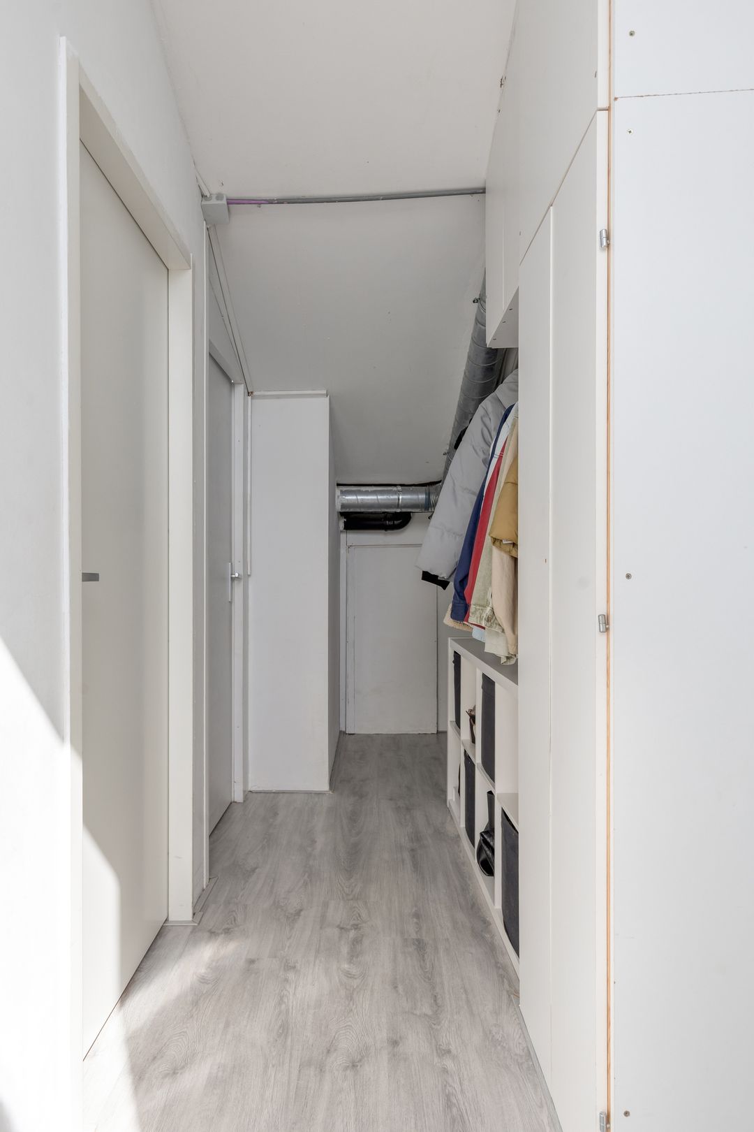 Foto 26 van Vlaamse Gaai 13