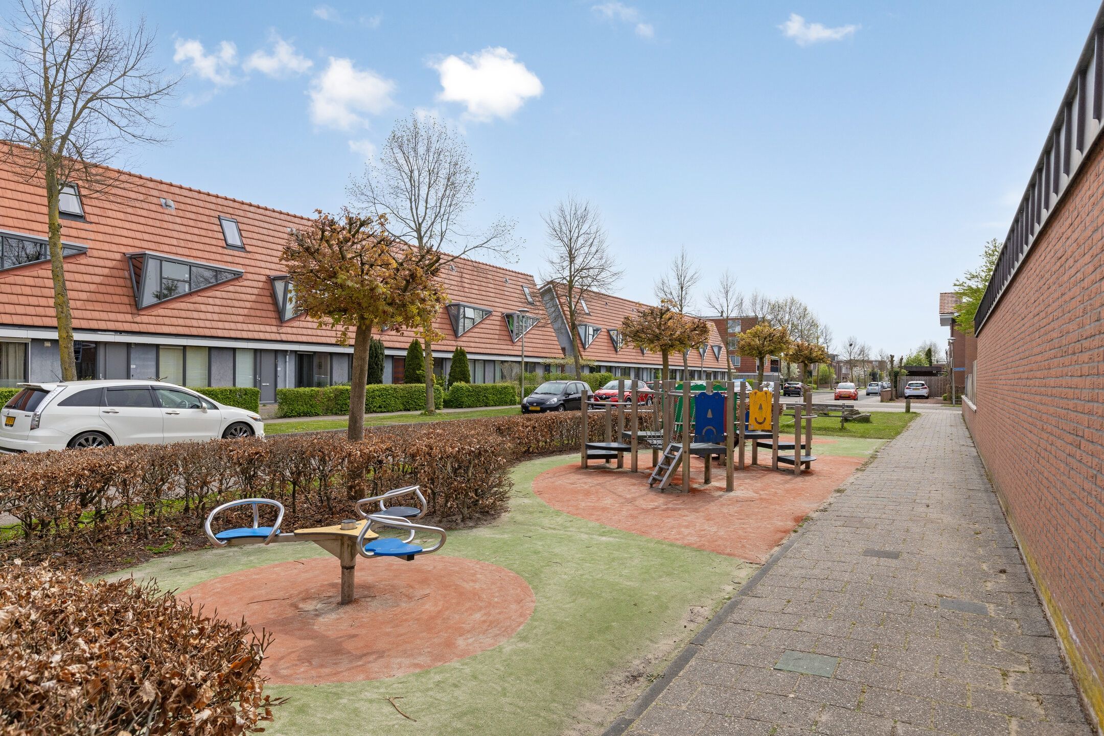 Foto 39 van Vlaamse Gaai 13