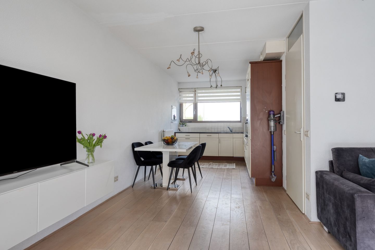 Foto 10 van Vlaamse Gaai 13