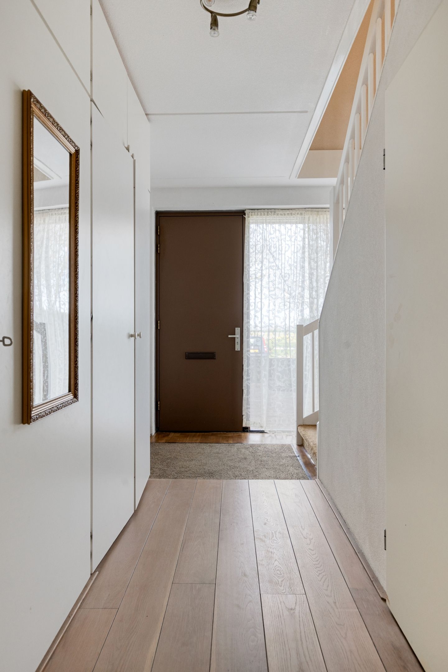 Foto 6 van Vlaamse Gaai 13