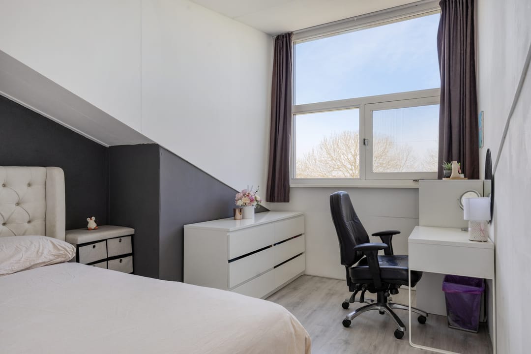 Foto 28 van Vlaamse Gaai 13