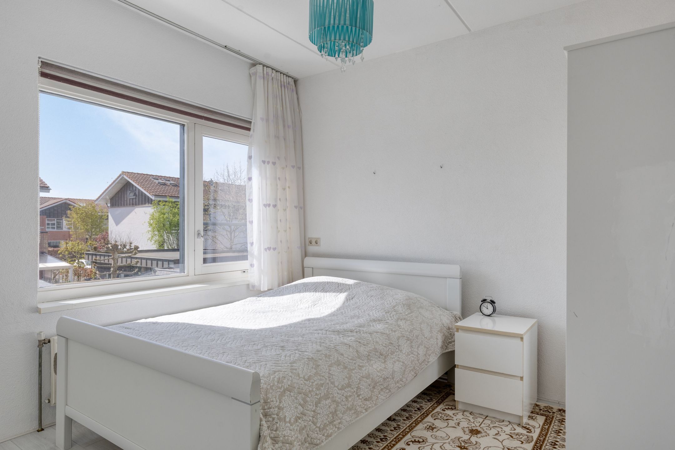 Foto 24 van Vlaamse Gaai 13