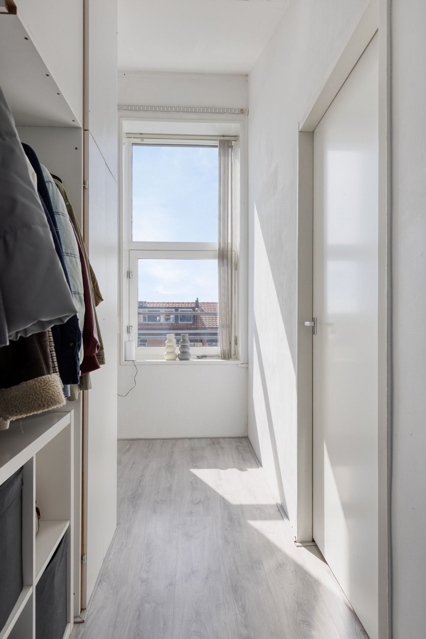 Foto 27 van Vlaamse Gaai 13