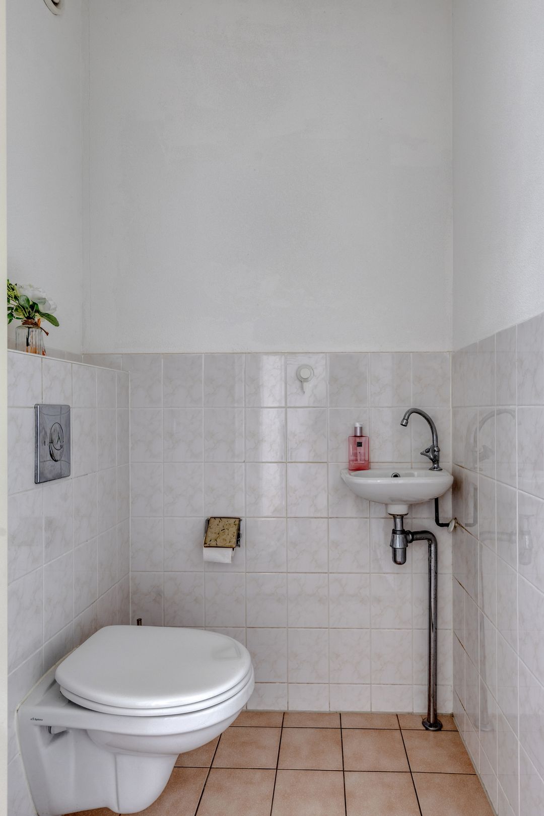 Foto 7 van Vlaamse Gaai 13