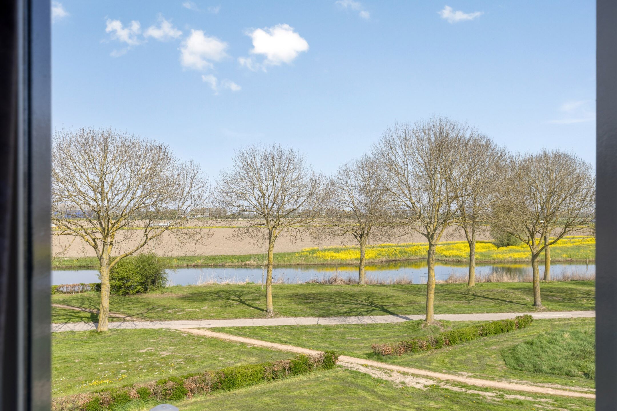 Foto 30 van Vlaamse Gaai 13