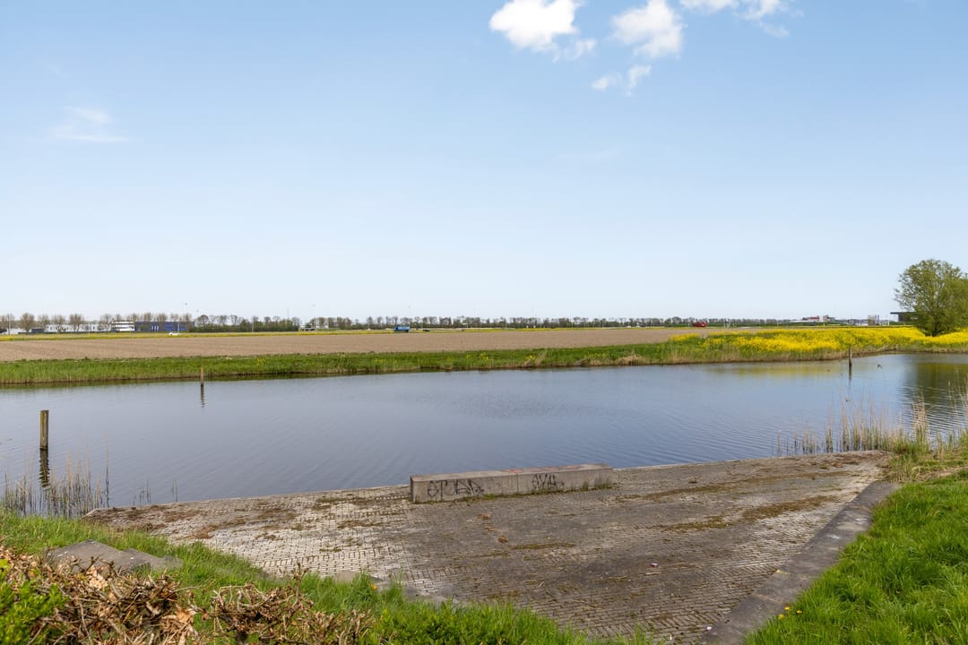 Foto 37 van Vlaamse Gaai 13