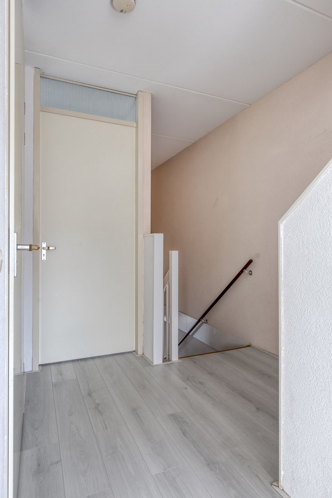 Foto 16 van Vlaamse Gaai 13