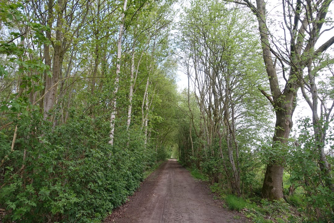 Foto 2 van 2e Dalweg 10