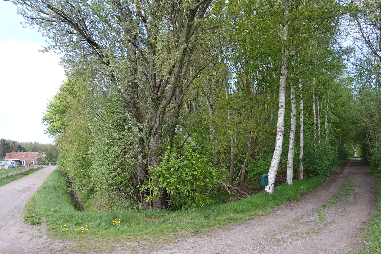 Foto 5 van 2e Dalweg 10