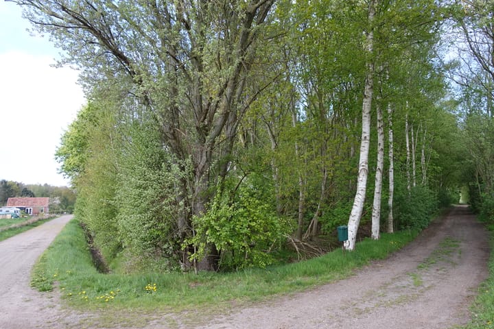 Foto 5 van 2e Dalweg 10