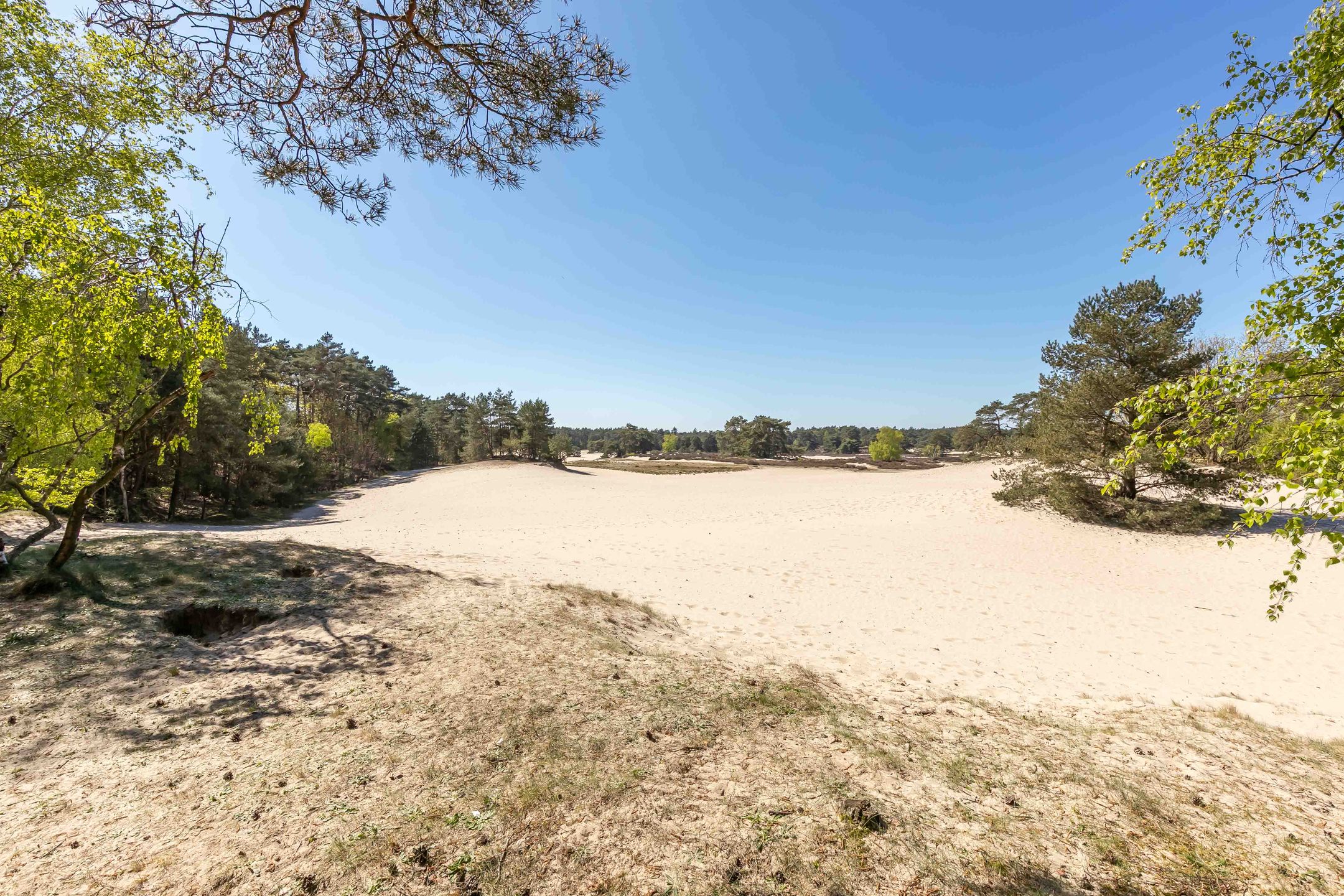 Foto 3 van van Lyndenlaan 10