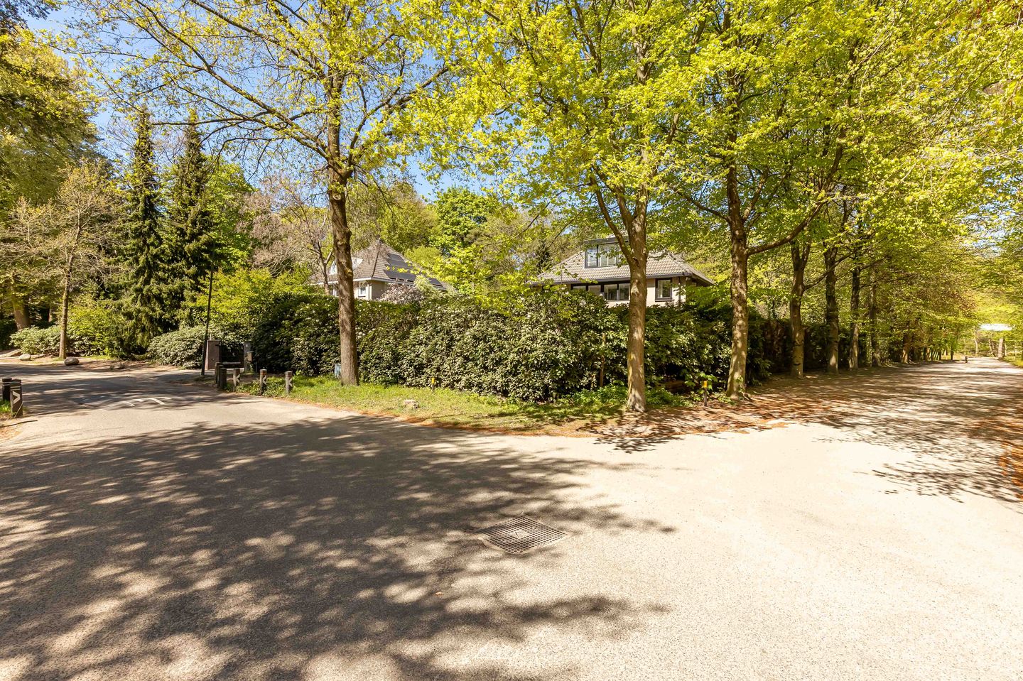 Foto 35 van van Lyndenlaan 10