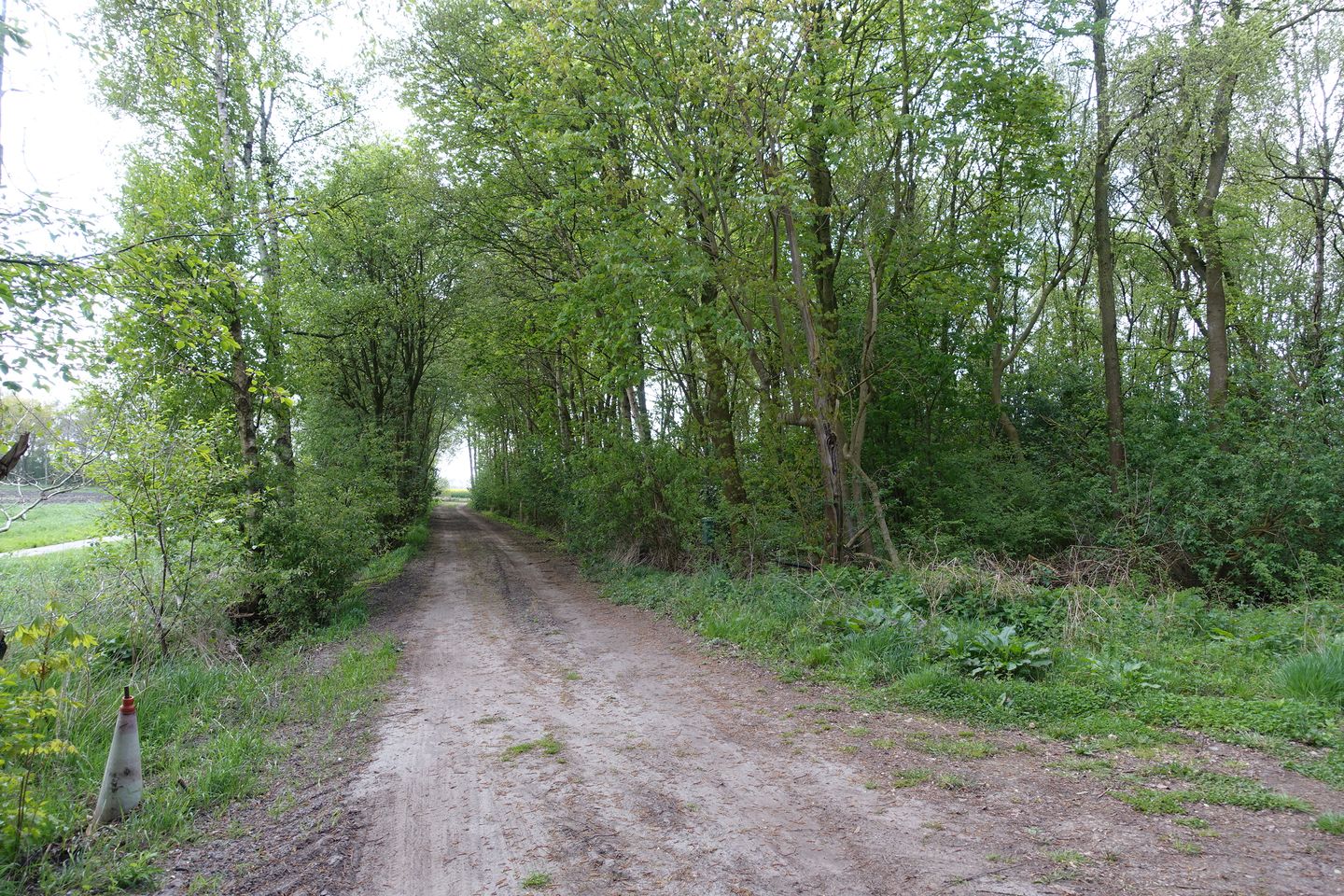 Foto 4 van 2e Dalweg 10