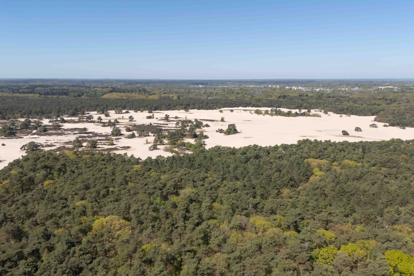 Foto 40 van van Lyndenlaan 10