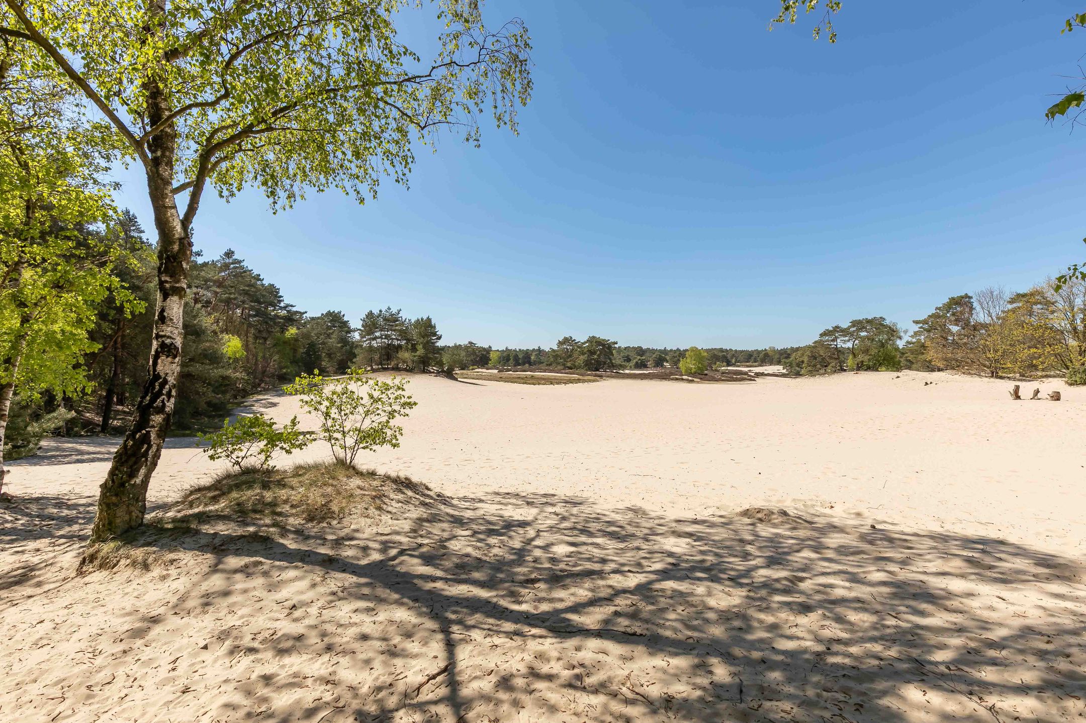 Foto 39 van van Lyndenlaan 10