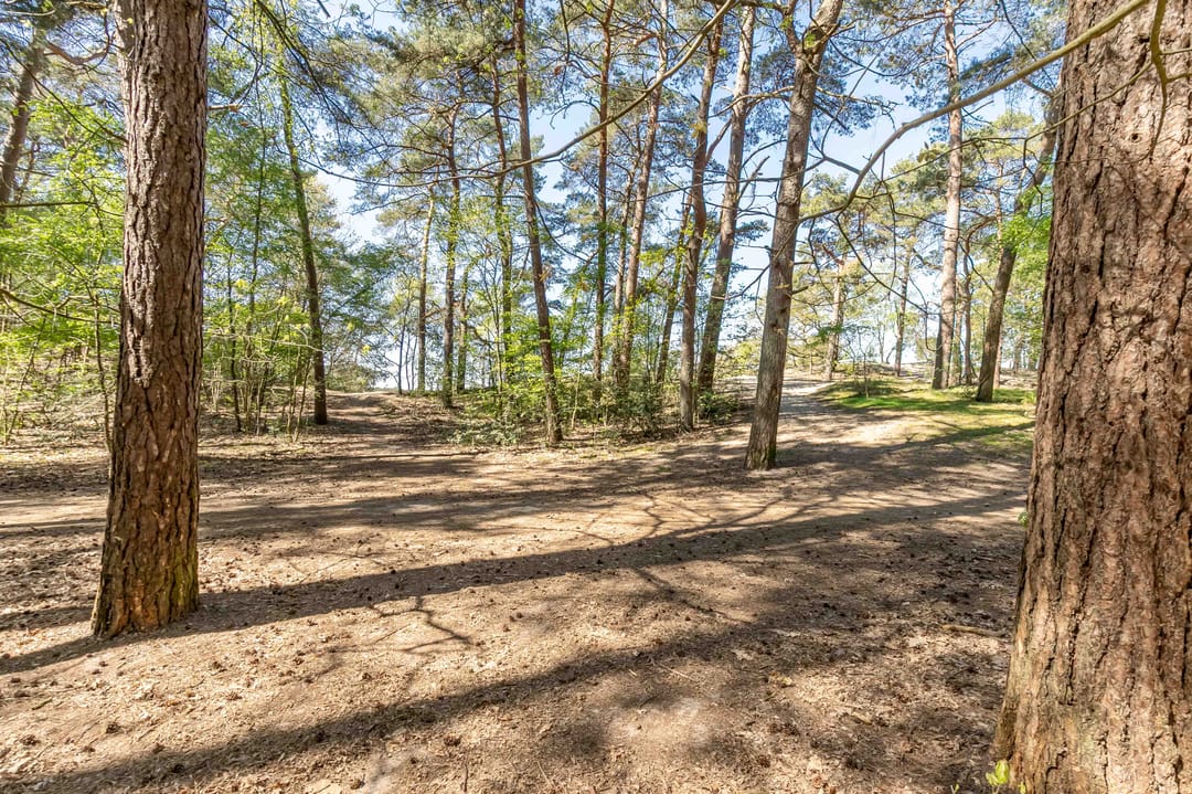 Foto 38 van van Lyndenlaan 10