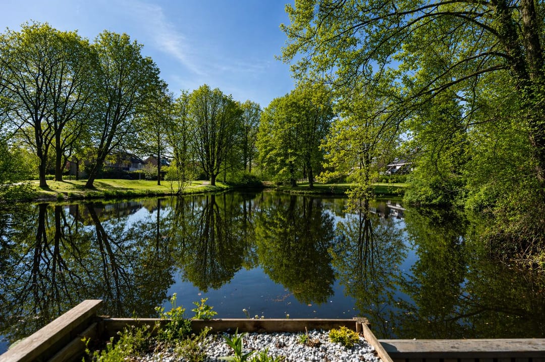 Foto 1 van Vlasland 12