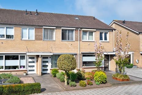 Koninginnelaan thumbnail