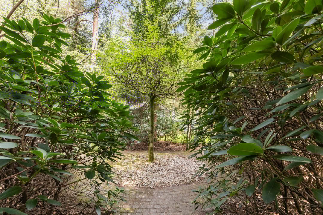 Foto 23 van Lage Bergweg 41-24