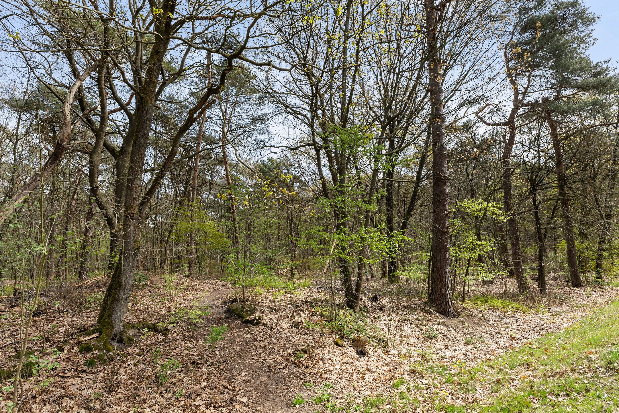 Foto 30 van Lage Bergweg 41-24