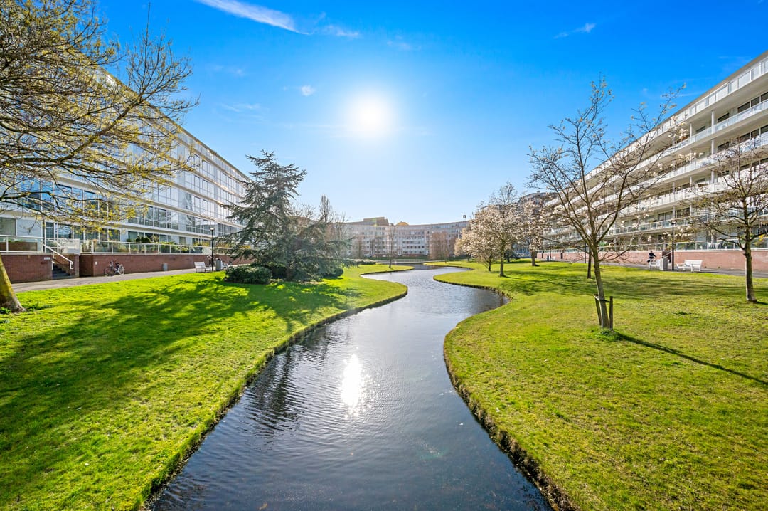 Foto 46 van Burgemeester De Monchyplein 48