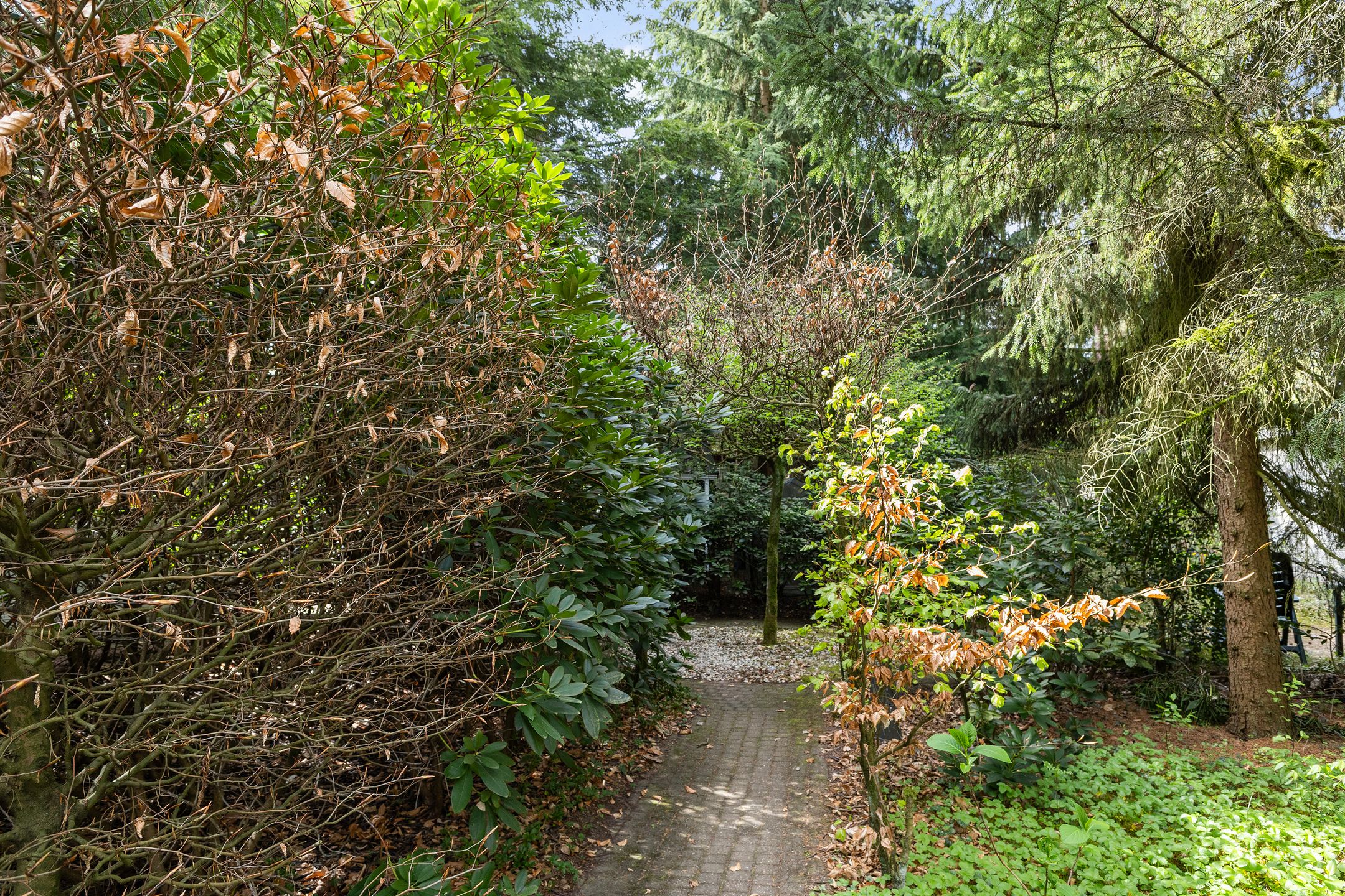 Foto 21 van Lage Bergweg 41-24