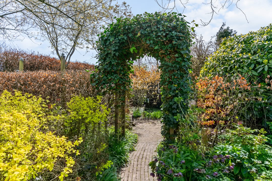 Foto 31 van Hoenderkamp 32