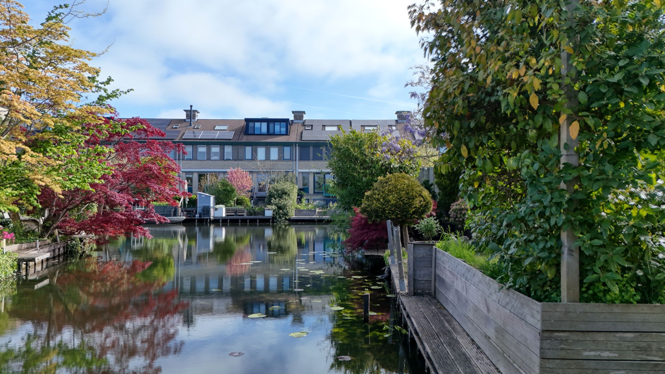 Photo 3 of Verona 24