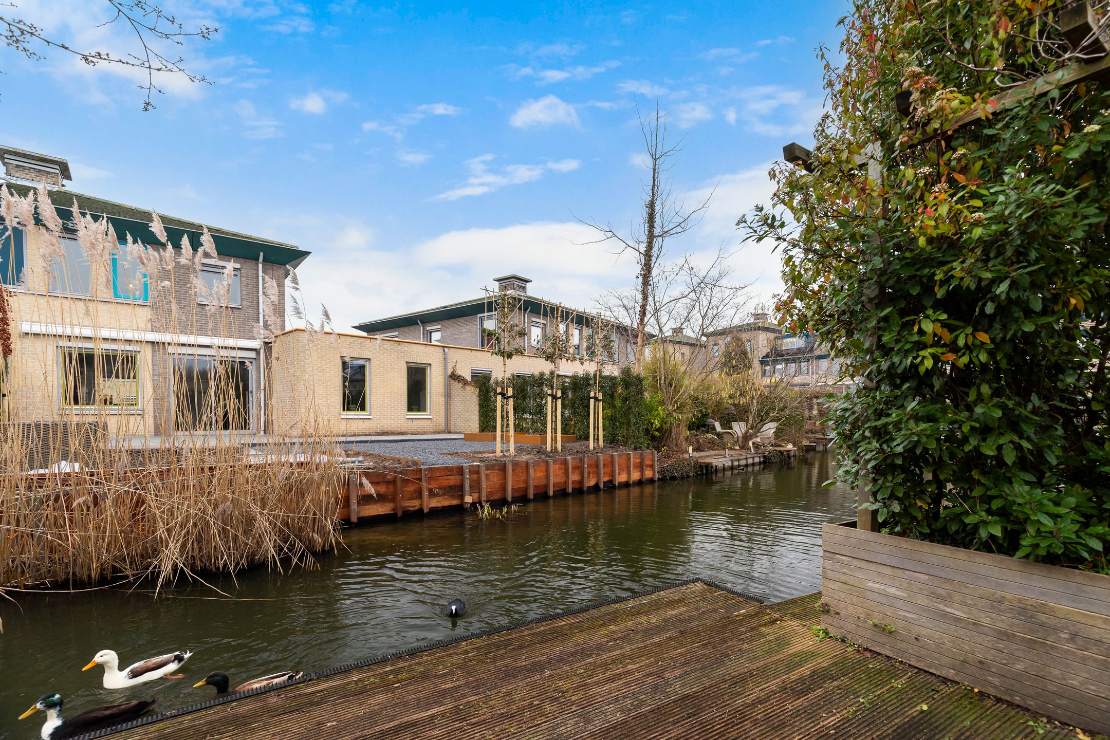 Photo 39 of Verona 24