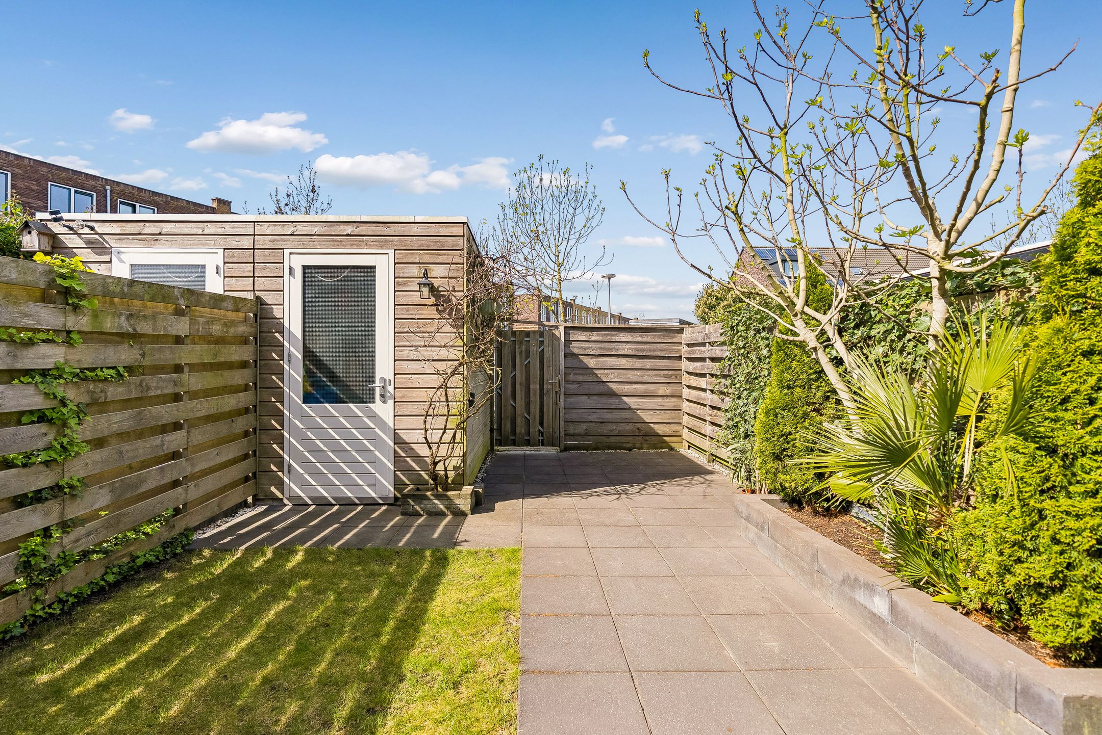 Foto 18 van Mitrastraat 46