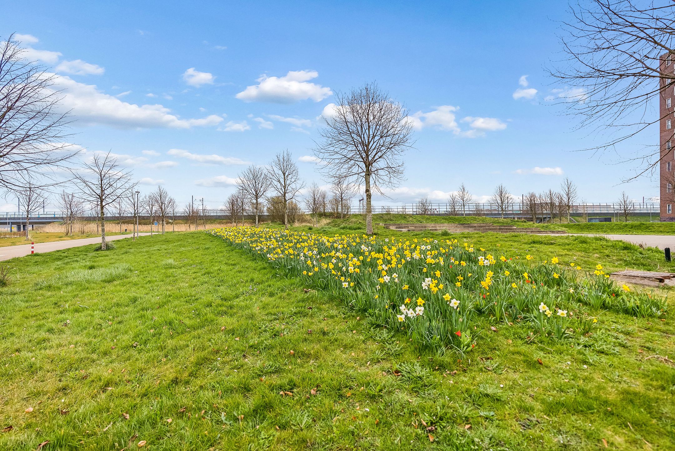 Foto 48 van Mitrastraat 46